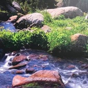 Meet your Posher, Simin